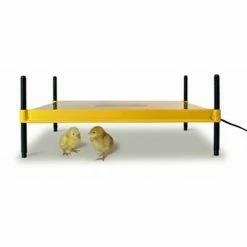 Brinsea EcoGlow Eco Glow 50 Chick Brooder USHD502 - Chicken Brooders