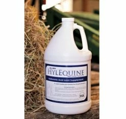 HylEquine Joint Solution Gallon JOINTGL - Livestock Supplies