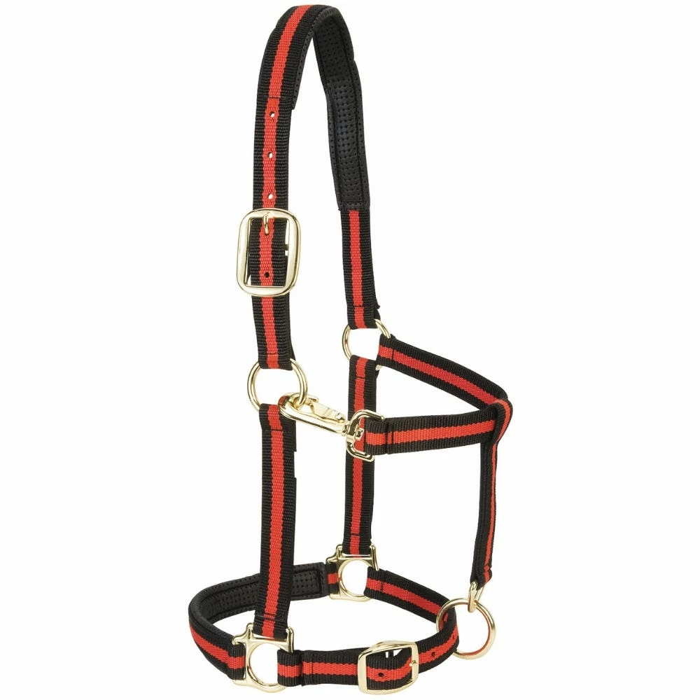 Weaver Leather Padded Adjustable Chin and Throat Snap Halter - Red - 1 Inch - 35-7735-RD - Nylon Halters 3 Weaver Leather Padded Adjustable Chin and Throat Snap Halter - Red - 1 Inch - 35-7735-RD - Nylon Halters