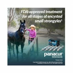 Merck Panacur® PowerPac Horse Dewormer, 57 gm - 017754 - Dewormers -Livestock Online Store 74b5a3e2f1661e7c28ef2cf6fcceb1508013b79a 362655 5