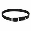 Weaver Leather Livestock Goat Collar - Black - 5/8 Inch x 14 Inch - 16 Inch - Small - 35-7090-BK - Goat Collars & Leads -Livestock Online Store 79aa5834a40616a5cb8df81aeeecc540a768f052 67517471 67517471 image 35 7090 bk
