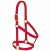 Weaver Leather Basic Non - Adjustable Nylon Halter - Red - 1 Inch Small Horse - 35-7404-RD - Nylon Halters -Livestock Online Store 8116ee3226a49177298f2aff1ec637611cd98cf1 67504109 67504109 image 35 7404 rd