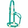 Weaver Leather Original Adjustable Nylon Horse Halter - Emerald Green - 1 Inch Average - 35-7035-EG - Nylon Halters -Livestock Online Store 82cda904206431271ca4dbab2f75112d24e6afaf 675200029 675200029 image 35 7035 eg