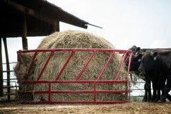 Tarter 2 Piece Slant Bar Hay Feeder - SBF2 - Horse Stalls -Livestock Online Store 86794ecd41c7623beb15c6699a4367bcda9186ea SBF2 RKSteelcorCattleHayFeeder L 07