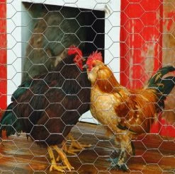 Garden Craft 72 x 50' Chicken Wire with 1" Openings - 167250 - Fence and Wire -Livestock Online Store 87a54b982047711737f030135d4de39eb6a81ebc 99490078 5