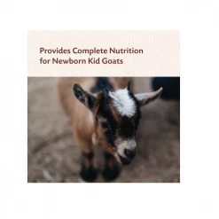 MannaPro Manna Pro Goat Kid Colostrum Supplement, 8 oz. Bag - Supplements -Livestock Online Store 8c495845d15844d46064dc506582c1027dd9511f 50000490 2