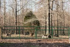 Tarter 16' 2 x 4 Wire Filled Gate, Green - WFGG16 - Gates & Corrals 11 Tarter 16' 2 x 4 Wire Filled Gate, Green - WFGG16 - Gates & Corrals -Livestock Online Store 8d4e9e7f091af2ec006a329ac66dbc4b4398794e WFGG WatchmanWireMeshGate LS 02 6