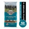 Country Road Cattlemen's Feed, 50 lb. Bag - Cattle Feed -Livestock Online Store 9022a16f465a83a4dcb7a7858729613589d8ac15 64600220.3