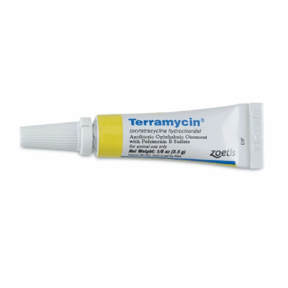Terramycin Ophthalmic Ointment 1/8 oz - 10000474 - Cat Health & Grooming 3 Terramycin Ophthalmic Ointment 1/8 oz - 10000474 - Cat Health & Grooming