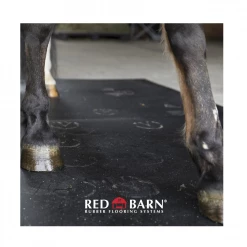 Red Barn 3 ft. x 4 ft. x 1/2 in. Thick Utility Rubber Stall Mat - 1102010 - Livestock Supplies -Livestock Online Store 90c6dc86637e65973cbf348d5356ec0a59b0961a 2022018772 3