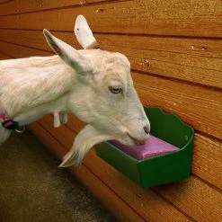 Little Giant Salt Block Holder, 1 Quart - SBP3 - Livestock Supplies -Livestock Online Store 9a09dd1cd171d25dee05b62ccdb571184a126395 69480140 3