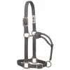 Weaver Leather Original Adjustable Nylon Halter with Chrome Plated Hardware - Medium - Graphite - 35-7375-GH - Nylon Halters -Livestock Online Store a13d57f068699118d4dd5fc0f1bde3b80fa6d1de 675200011 675200011 image 35 7375 gh