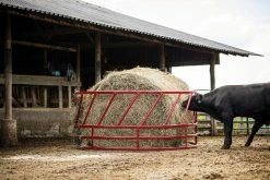 Tarter 2 Piece Slant Bar Hay Feeder - SBF2 - Horse Stalls -Livestock Online Store aea3cfcfa6947fd6195afb49561c189668a98bb8 SBF2 RKSteelcorCattleHayFeeder L 01