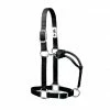 Weaver Leather Original Adjustable Nylon Halter with Chrome Plated Hardware, Medium, Black 35-7375-BK - Horse Equipment -Livestock Online Store b6be1344bfed0129dbc5a8f6a710b8e52bc6b96d 67517375