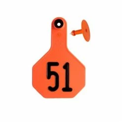 Y-Tex Orange All American 3* Cmb Nrd 051/075 -7702051 - Livestock Supplies