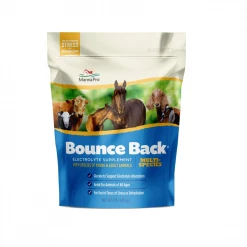 MannaPro Manna Pro Bounce Back Multi-Species Electrolyte Supplement, 4 lb. Bag - Livestock Health