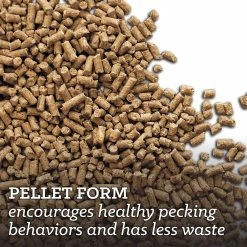 Nutrena NatureWise® Layer Feed 16% Protein Pellet Poultry Feed, 40 lb. Bag - Chicken Feed -Livestock Online Store bb8cd104b59cc4a0a151c85a4b5a1fd02e4ab30e Pellet