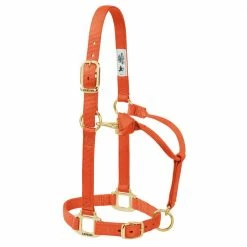 Weaver Leather Original Adjustable Nylon Horse Halter - Orange - 1 Inch Average - 35-7035-OR - Nylon Halters