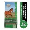 Country Road Advantage Complete Horse Feed, 50 lb. Bag 1 Country Road Advantage Complete Horse Feed, 50 lb. Bag -Livestock Online Store bc7f8d5c0b2467dee7e957ce71b001ed749c65ca 4671190.2
