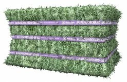 Standlee Premium Western Forage Compressed Alfalfa/Orchard Bale, 50 lb. Bale