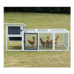 Country Road Chicken Coop with Outdoor Run - SHWA011010Y1 - Chicken Coops -Livestock Online Store c051eed0e0d38c8aaef02d7e427d750ce7aea8ca 41220017 10
