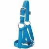 Weaver Leather Livestock Goat Halter - Hurricane Blue - 3/4 Inch Medium - 35-8151-BL - Goat Halters & Accessories -Livestock Online Store c52a472fff6fc358e302f9e2a57b262009f56cca 67517638 67517638 image 35 8151 bl