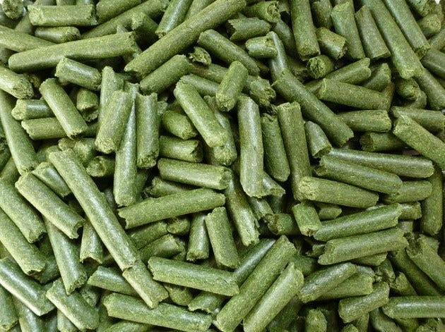 Standlee Premium Western Forage Standlee Premium Alfalfa Pellets, 40 lb. Bag - Forage 4 Standlee Premium Western Forage Standlee Premium Alfalfa Pellets, 40 lb. Bag - Forage - Image 2