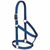 Weaver Leather Basic Non - Adjustable Nylon Halter - Blue - 1 Inch Small Horse - 35-7404-BL - Nylon Halters -Livestock Online Store c723a360d13ad01e0a6376ee21c91447cbe85b89 67504112 67504112 image 35 7404 bl