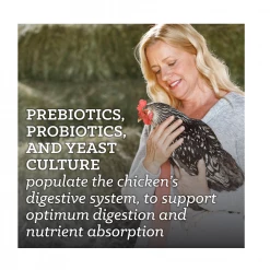 Nutrena NatureWise® Hearty Hen 18% Protein Pellet Feed, 40 lb. Bag - Chicken Feed -Livestock Online Store c8bba7dacd29a4788ab68f8a80480f1cd468be00 4679080 4