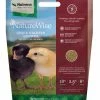 Nutrena NatureWise® Chick Starter Grower 18% Protein Crumble, 7 lb. Bag - Chicken Feed -Livestock Online Store ca0ec75ce89ee014ddbc8004e446ec7a7124b85c 4670292 NatureWise Chick Starter 7lb
