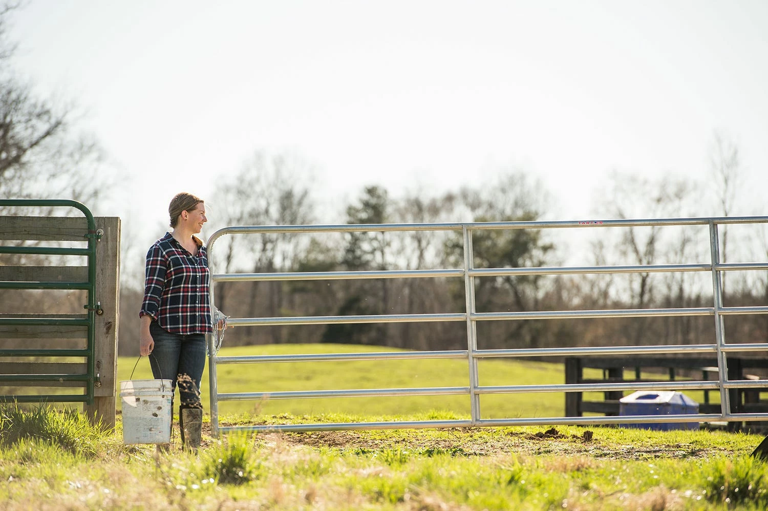 Tarter 6 Bar 20' Green Tube Gate - 6EG20 - Panels & Gates 6 Tarter 6 Bar 20' Green Tube Gate - 6EG20 - Panels & Gates - Image 4