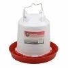 Various Brands 1 Gallon Poultry Waterer, Red - 66311 - Small Animal Equipment -Livestock Online Store d5b3778a5dfc79da75b4902414870751d039c897 21040202