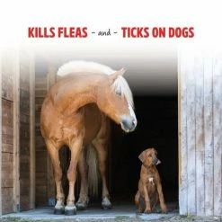 Pro Force Natures Force Fly Spray, 32oz - 1000180 - Livestock Health -Livestock Online Store d931d000a32b9dea981a3dd0401276832e4e7445 5000903 5