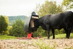 Tarter Super Duty Mineral Feeder - SDMF - Cattle Feeders -Livestock Online Store d97a46778f518edcc3183bf25eb3c994a7a98e0e SDMF SuperDutyMineralFeeder L 17