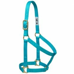 Weaver Leather Basic Non - Adjustable Nylon Halter - Turquoise - 1 Inch Average Horse - 35-7405-TU - Nylon Halters