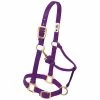Weaver Leather Original Adjustable Nylon Horse Halter - Purple - 1 Inch Average - 35-7035-PU - Nylon Halters -Livestock Online Store e0cb8da923a75315978cf82efe7760425302450b 675200031 675200031 image 35 7035 pu