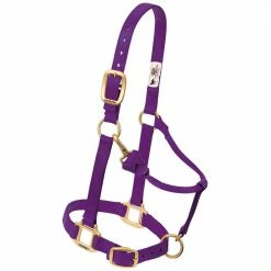 Weaver Leather Original Adjustable Nylon Horse Halter - Purple - 1 Inch Average - 35-7035-PU - Nylon Halters