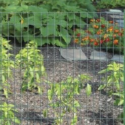 Garden Craft 24" x 50' Green Vinyl Fence with 2" x 3" Openings - 022450 - Fence and Wire -Livestock Online Store e8e70df719bdf834887a20f4b20f58537054476b 99490388 4