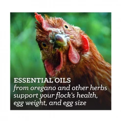 Nutrena NatureWise® Hearty Hen 18% Protein Pellet Feed, 40 lb. Bag - Chicken Feed -Livestock Online Store e928a07f736225c39e7d3cd586ba55785d326d21 4679080 6