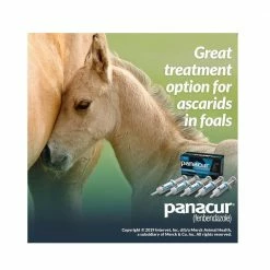 Merck Panacur® PowerPac Horse Dewormer, 57 gm - 017754 - Dewormers -Livestock Online Store e9efbbb87c82af6015685cd38ad0c9dd0d2c2587 362655 3