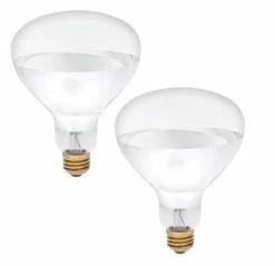 Various Brands Brooder 250 Watt Heat Lamp Bulb - 2 Pack - Livestock Supplies
