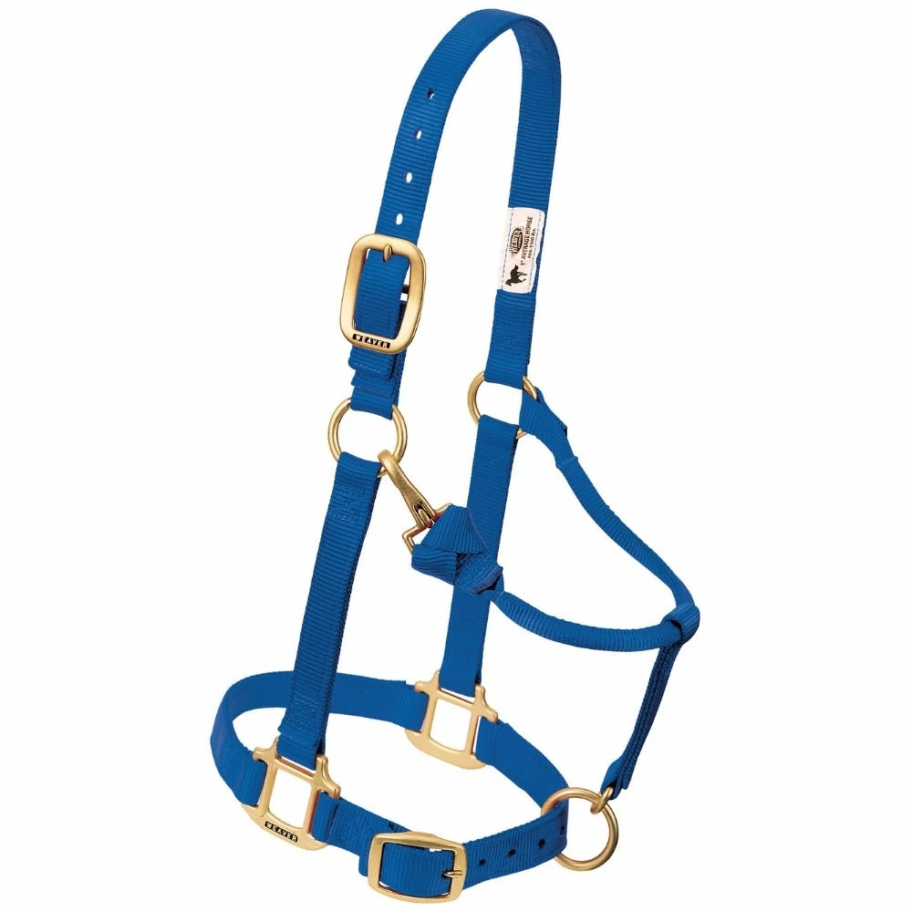 Weaver Leather Original Adjustable Nylon Horse Halter - Weanling/Pony - Blue - 35-1032-BL - Nylon Halters 4 Weaver Leather Original Adjustable Nylon Horse Halter - Weanling/Pony - Blue - 35-1032-BL - Nylon Halters - Image 2