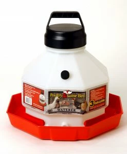 Little Giant Plastic Poultry Chicken Waterer, 3 Gallon - PPF3 - Chicken Waterers