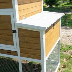 Country Road Barn Ranch Chicken Coop PVC Roof - SHW10993 - Chicken Coops -Livestock Online Store eb93201b64818c9cd4521909b83e1352038a06d1 41220002 1000x1000 4