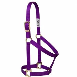 Weaver Leather Basic Non - Adjustable Nylon Halter - Purple - 1 Inch Average Horse - 35-7405-PU - Nylon Halters