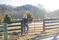 Tarter 6 Bar 6' Red Tube Gate - 6ER6 - Panels & Gates -Livestock Online Store f21be1ad878362b1fb16a35ab451f0bf5a06ccfc 6ER6 AmericanGate L 01 10