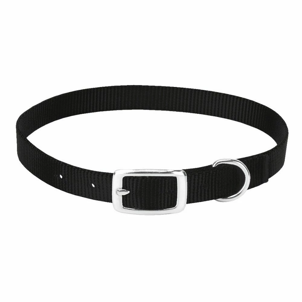 Weaver Leather Livestock Goat Collar - Black - 3/4 Inch x 22 Inch - 24 Inch - Medium - 35-7091-BK - Goat Collars & Leads 4 Weaver Leather Livestock Goat Collar - Black - 3/4 Inch x 22 Inch - 24 Inch - Medium - 35-7091-BK - Goat Collars & Leads - Image 2