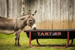 Tarter 5' 1 Piece Poly Bunk Feeder, Red - 1PB5 - Cattle Feeders -Livestock Online Store f84b9a13f336d4d72367b678bebb619a8500c6d4 1PB5 5TitanPolyBunkFeeder L 16